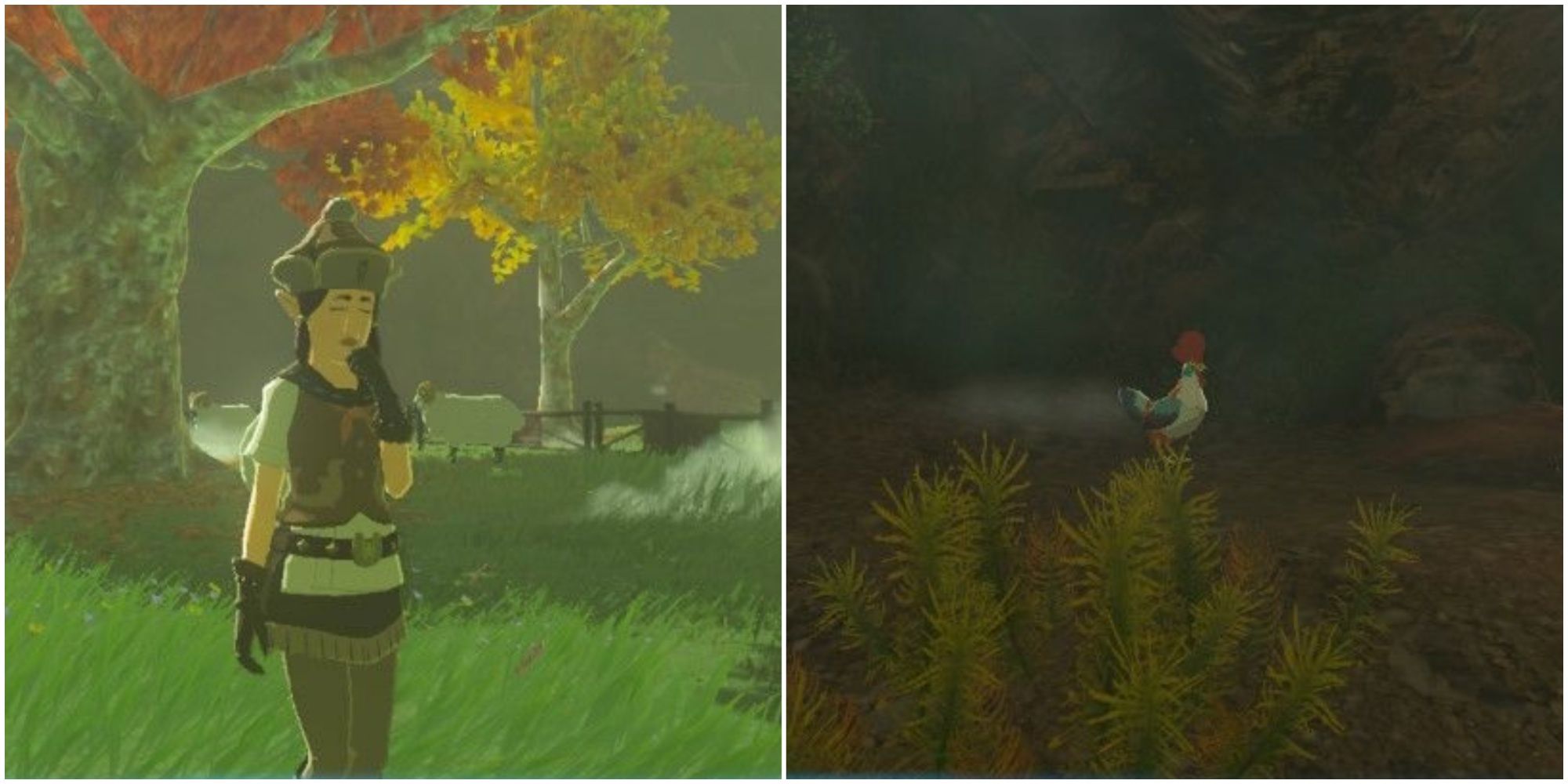The Ultimate Guide to Returning the Missing Cucco and Saving South Akkala Stable in Zelda: Tears of the Kingdom