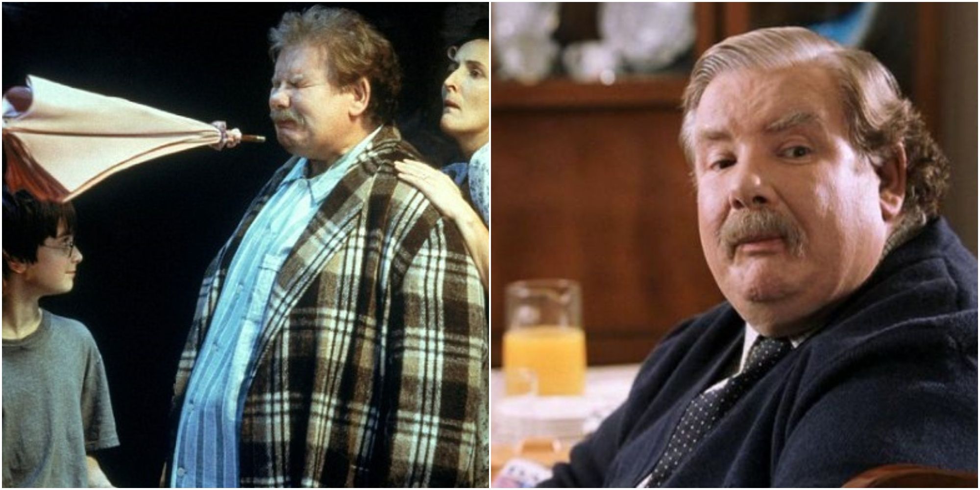 The Real Reason Vernon Dursley Feared Magic in Harry Potter