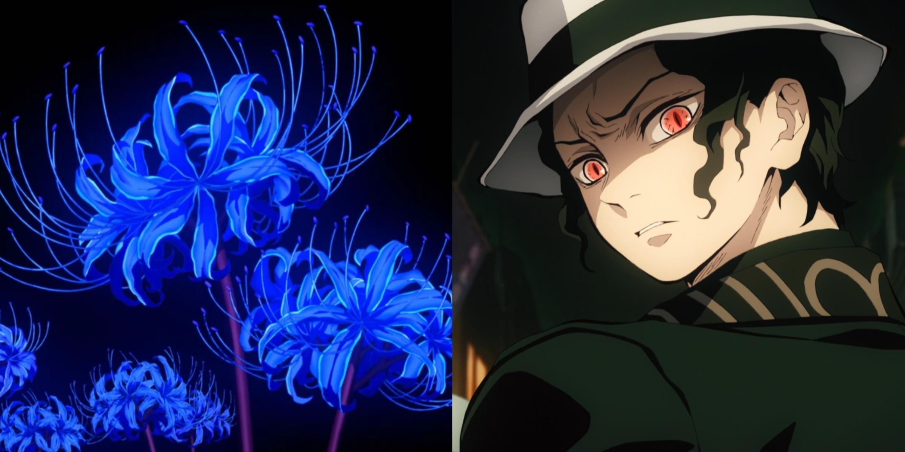 The Shocking Reason Behind Muzan's Obsession with the Blue Spider Lily