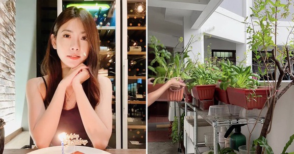 Cô gái biến hành lang thành vườn rau để trút bỏ căng thẳng