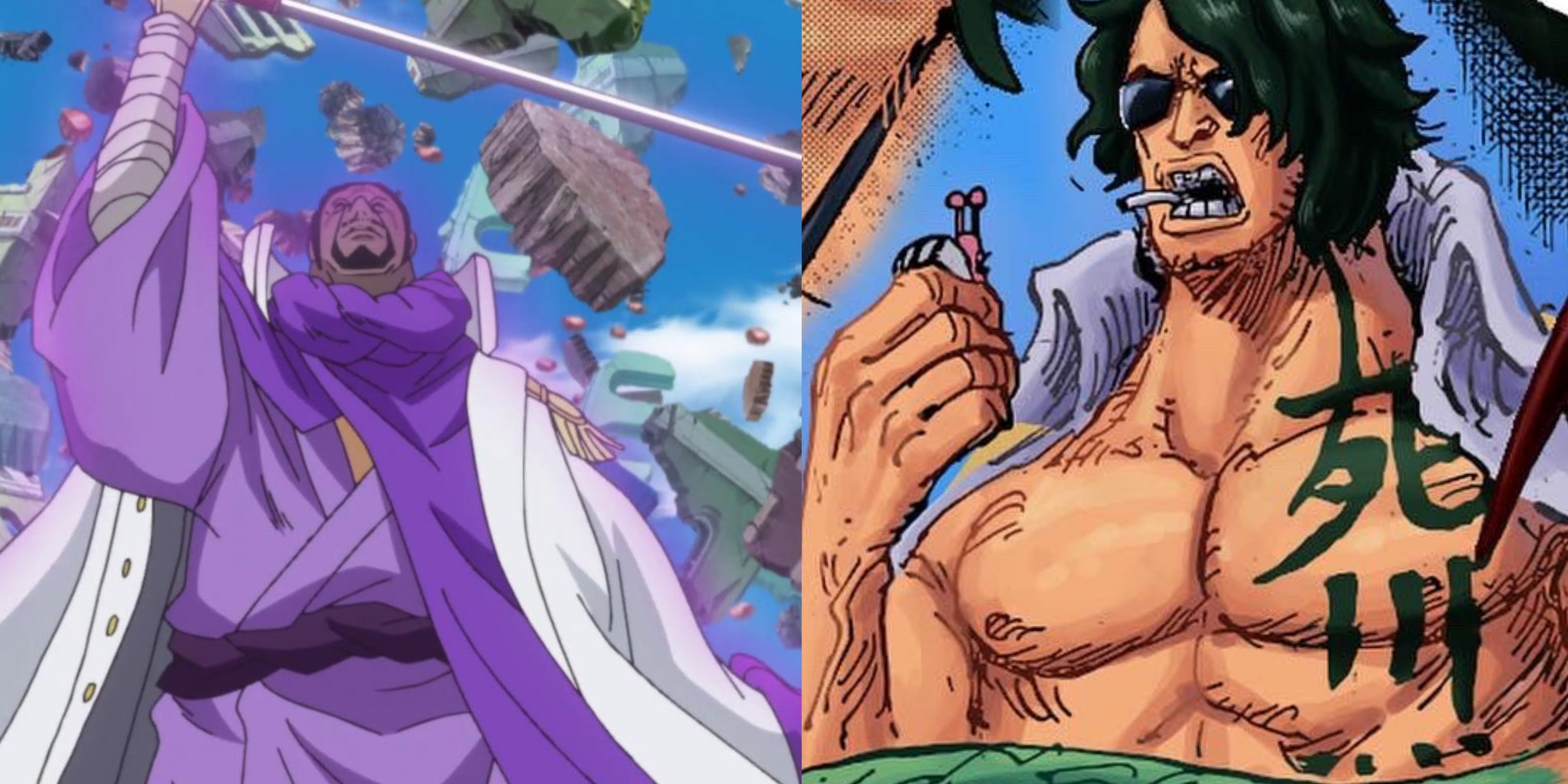 The Ultimate Showdown: Ryokugyu versus Fujitora in One Piece