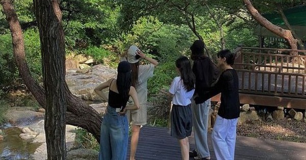 Bí quyết xây dựng đội nhóm thành công: Lãnh đạo đóng vai trò quan trọng và bữa ăn ngon chỉ là điểm nhấn