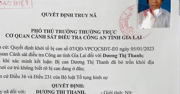 Cụ bà 73 tuổi lừa đảo và nghi án rút ruột 14 tỉ đồng