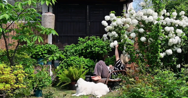 Sống một mình ở quê với căn nhà đẹp như trong phim hoạt hình chỉ với 1,6 tỷ