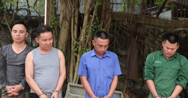 Kết án chủ lò mổ đồng phạm với tên trộm hơn 2 tấn chó