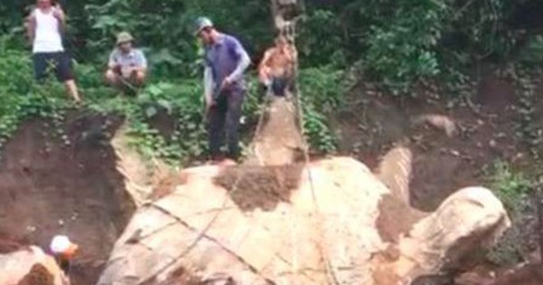 Phát hiện tảng đá hình con rùa khi đào móng nhà gây sốt xoáy