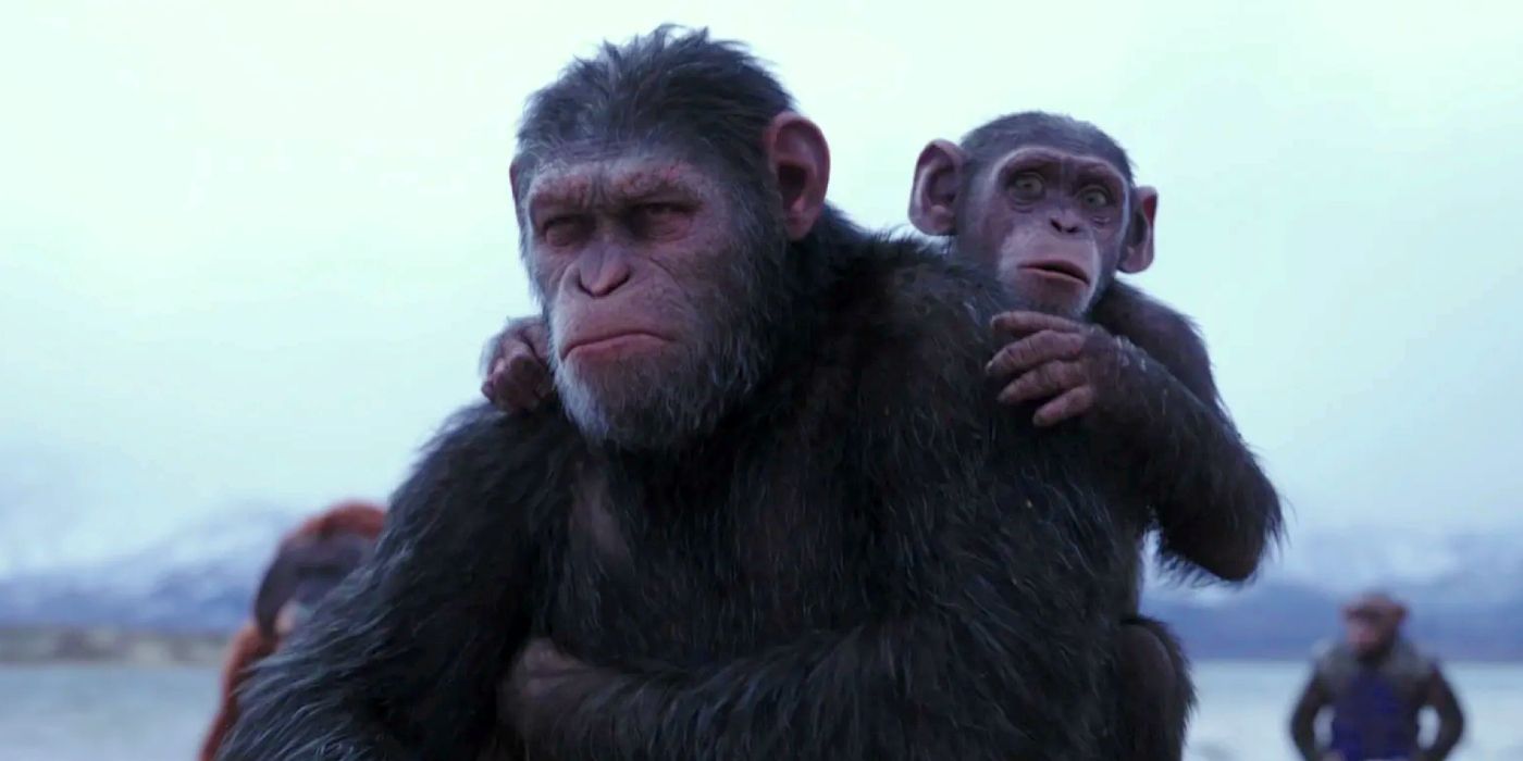 Unleashing the Secrets of the Monkey Kingdom: Insider Tips from the Star of Planet of the Apes