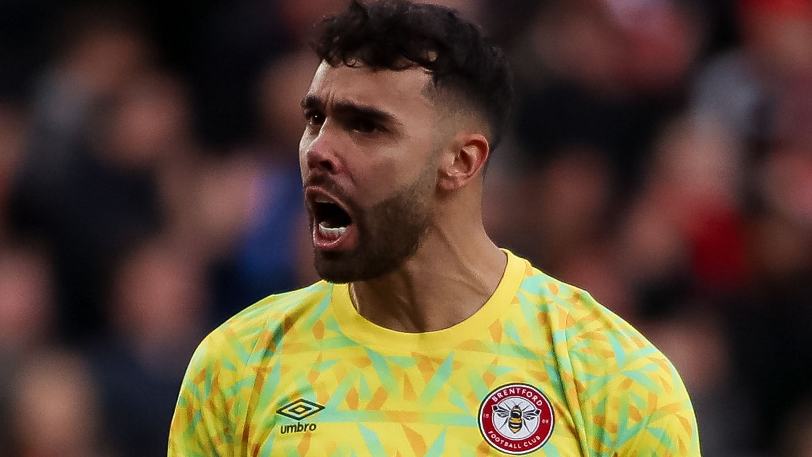 Tottenham eye Brentford goalkeeper David Raya for transfer