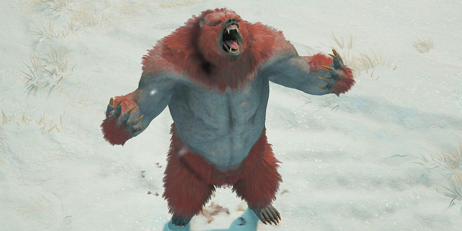 Unbearable Diablo 4 Bug: Werebear Loses Arms in Goofy Glitch