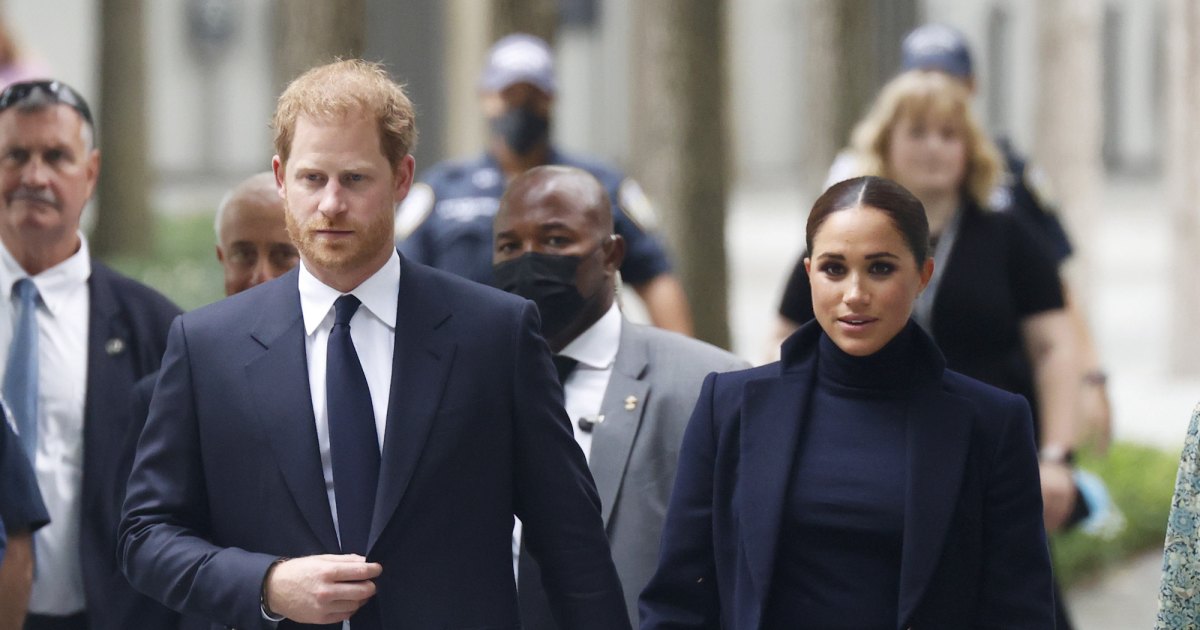 Prince Harry's Failed Attempt to Cover Family's Safety in UK: The Shocking Truth