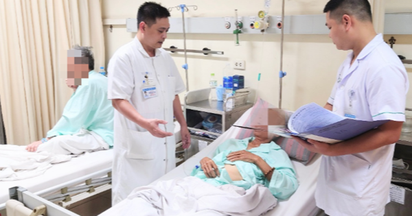 Lợn tấn công dương vật và tinh hoàn: Sự việc đầy kinh hoàng