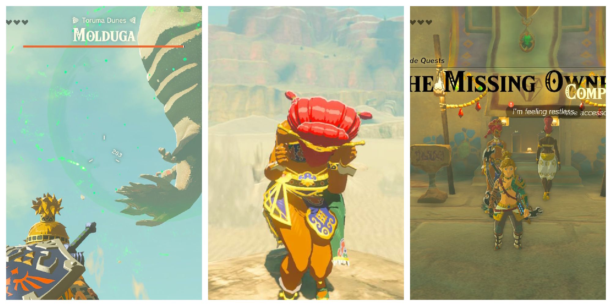 Zelda: The Enigmatic Owner - Ultimate Quest Guide