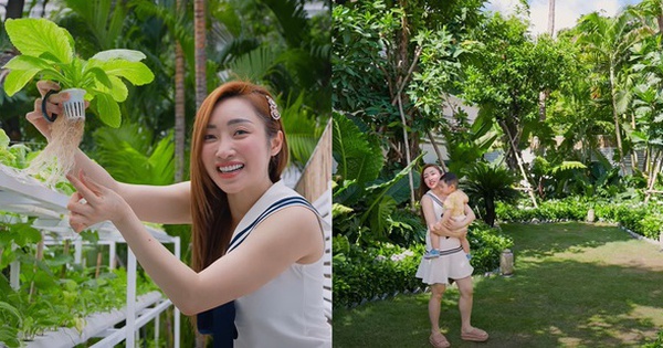 Ôc chó, nhỏ nhặt sơ ri và vườn tuyệt đẹp giữa lòng Quận 3 TPHCM