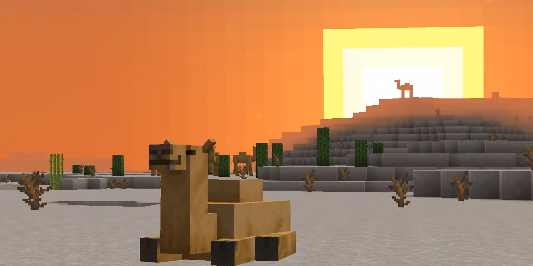 The Ultimate Guide to Feeding Camels in Minecraft