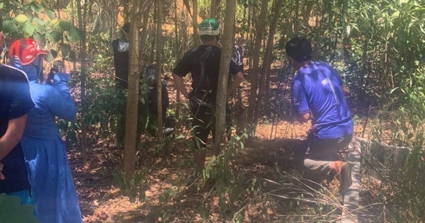 Kinh hoàng! Thi thể người đàn ông phân hủy sống trong vườn keo