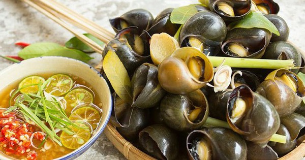 Những thói quen ăn ốc ngon giòn bạn không ngờ có thể gây nhiễm sán đục và hại gan