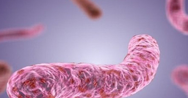 Tử vong đáng sợ: Nhiễm vi khuẩn khủng khiếp cắn ăn chân người