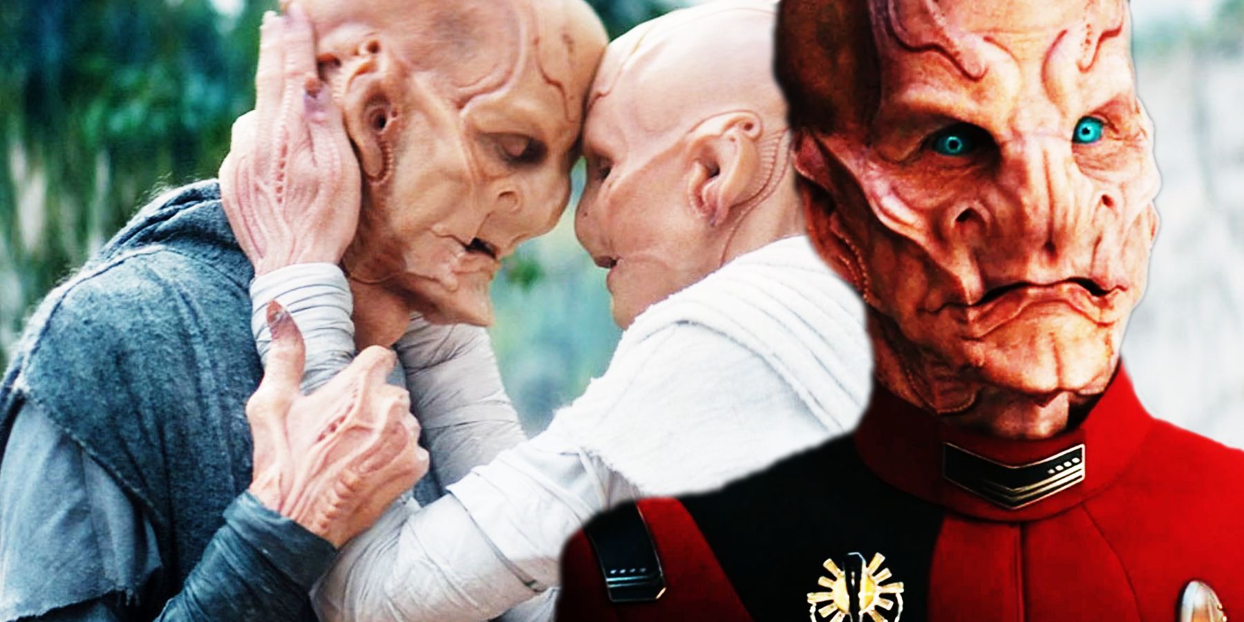 Unveiling the Enigma: The Mysterious Origins of Saru in Star Trek Discovery