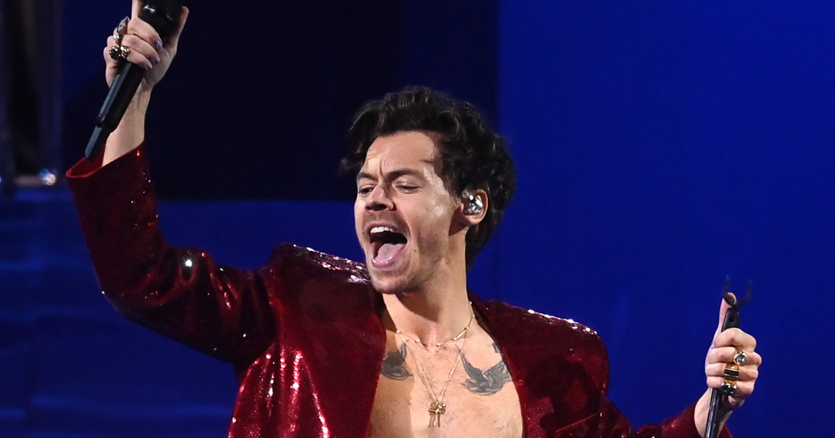 Harry Styles Halts Concert for Expectant Fan – Heartwarming Act Delights Crowd!