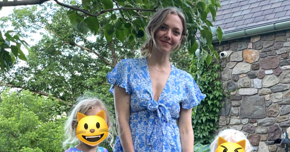 Amanda Seyfried's Heartwarming Moments With Her Precious Children, Unforgettable Parenting Insights