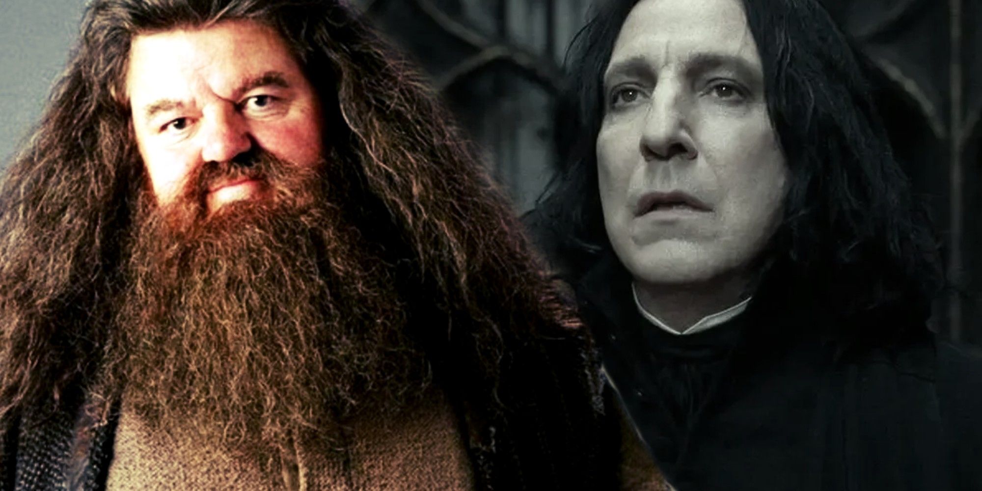 The Ultimate Dilemma: Choosing the Perfect Cast for HBO’s Harry Potter Remake