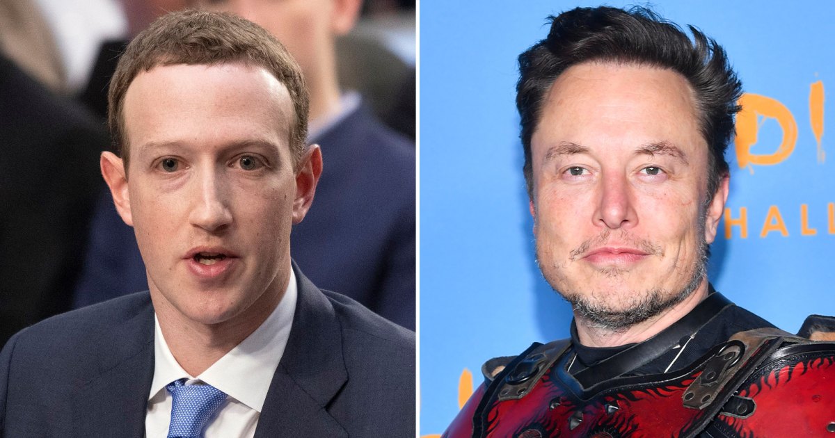 Exclusive Showdown Mark Zuckerberg Challenges Elon Musk To An Epic