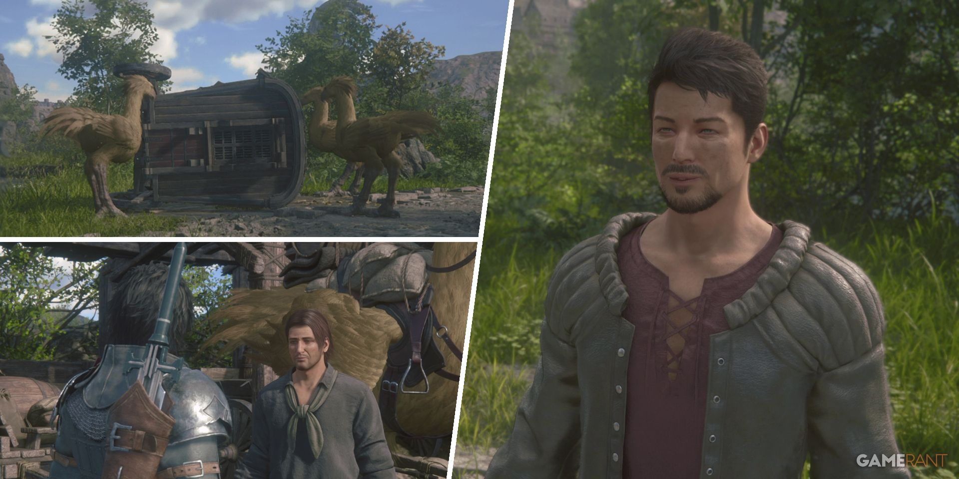 The Ultimate Side Quest for Bird Lovers: Unveiling the Secrets of 'Final Fantasy 16's What a Bird Wants Quest'