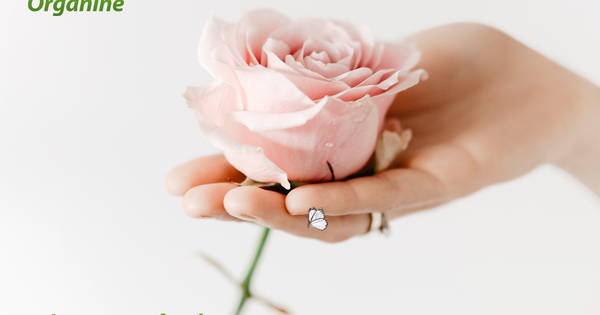 Tiết lộ cách chọn sản phẩm vệ sinh vùng kín tuyệt đỉnh và hoàn hảo