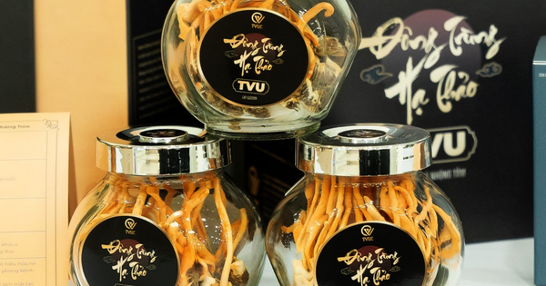 Tác động đáng kinh ngạc của đông trùng hạ thảo đối với sức khỏe: Đánh tan những nghi ngại