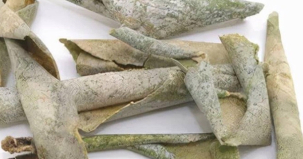 Củ quả quen thuộc mà ít ai biết vỏ chính là 'kho báu' có thể giúp cải thiện sức khỏe