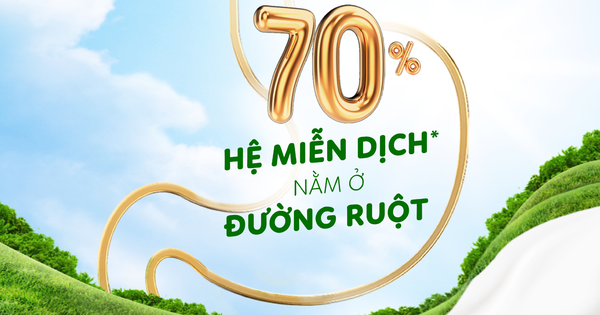 Bí quyết tăng sức đề kháng bất ngờ từ Hệ phòng thủ 1170: Hiểu rõ và áp dụng