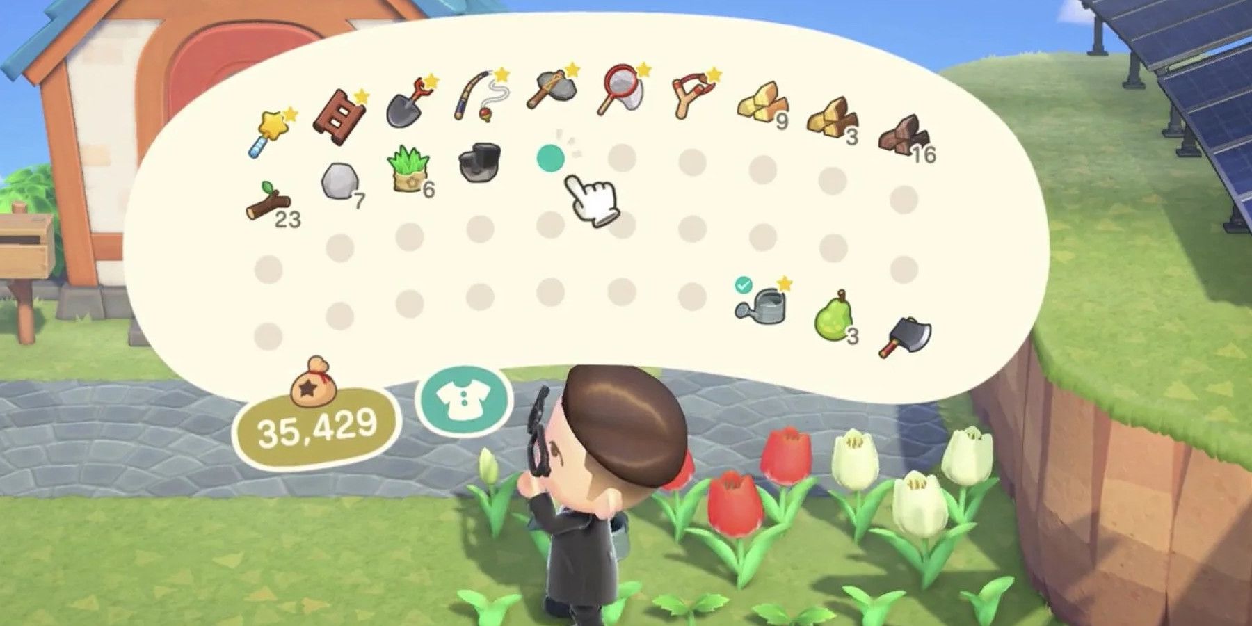 Cracking the Code: One Animal Crossing Fan's Genius Tip for Expanding Pocket Space in Style