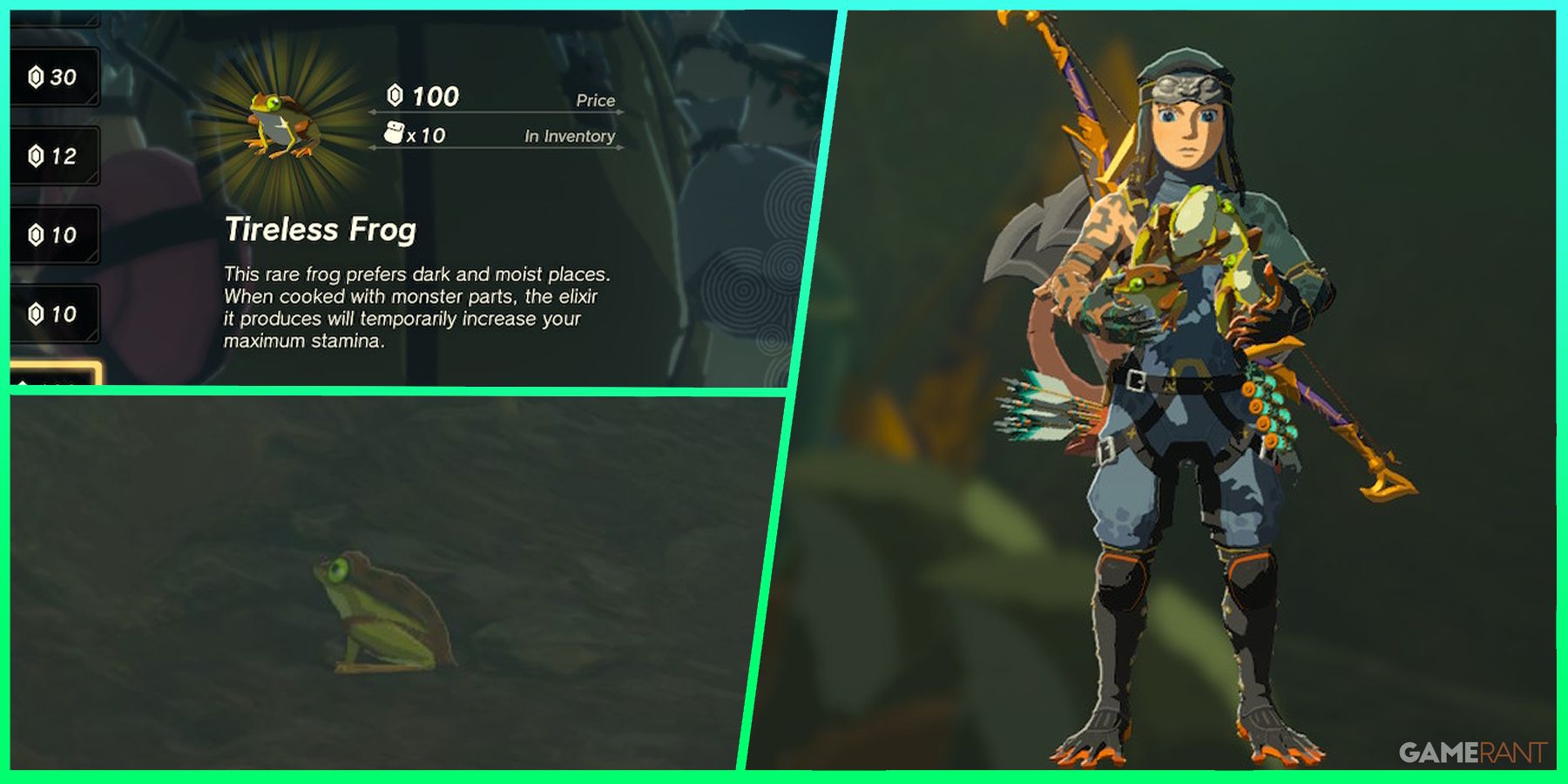 The Secret Guide to Farming Tireless Frogs in Zelda: Tears of the Kingdom