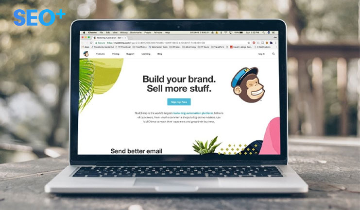 Mailchimp là gì? Tận dụng tiềm năng không giới hạn với cách sử dụng hiệu quả