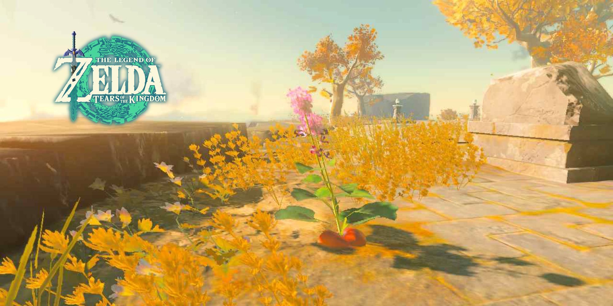Zelda: Tears of the Kingdom - Uncover the Ultimate Hearty Radish Locations!