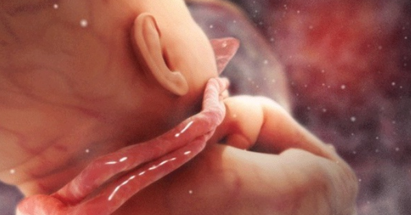 5 bước quan trọng mẹ bầu cần áp dụng khi phát hiện 'tràng hoa quấn cổ' em bé