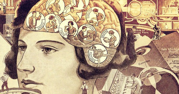 Tìm hiểu những bí mật hấp dẫn về đánh giá chỉ số IQ của con người