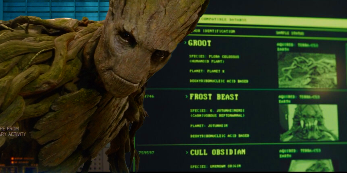 Marvel Confirms 9-Year Old Groot Easter Egg, Fans Go Wild!