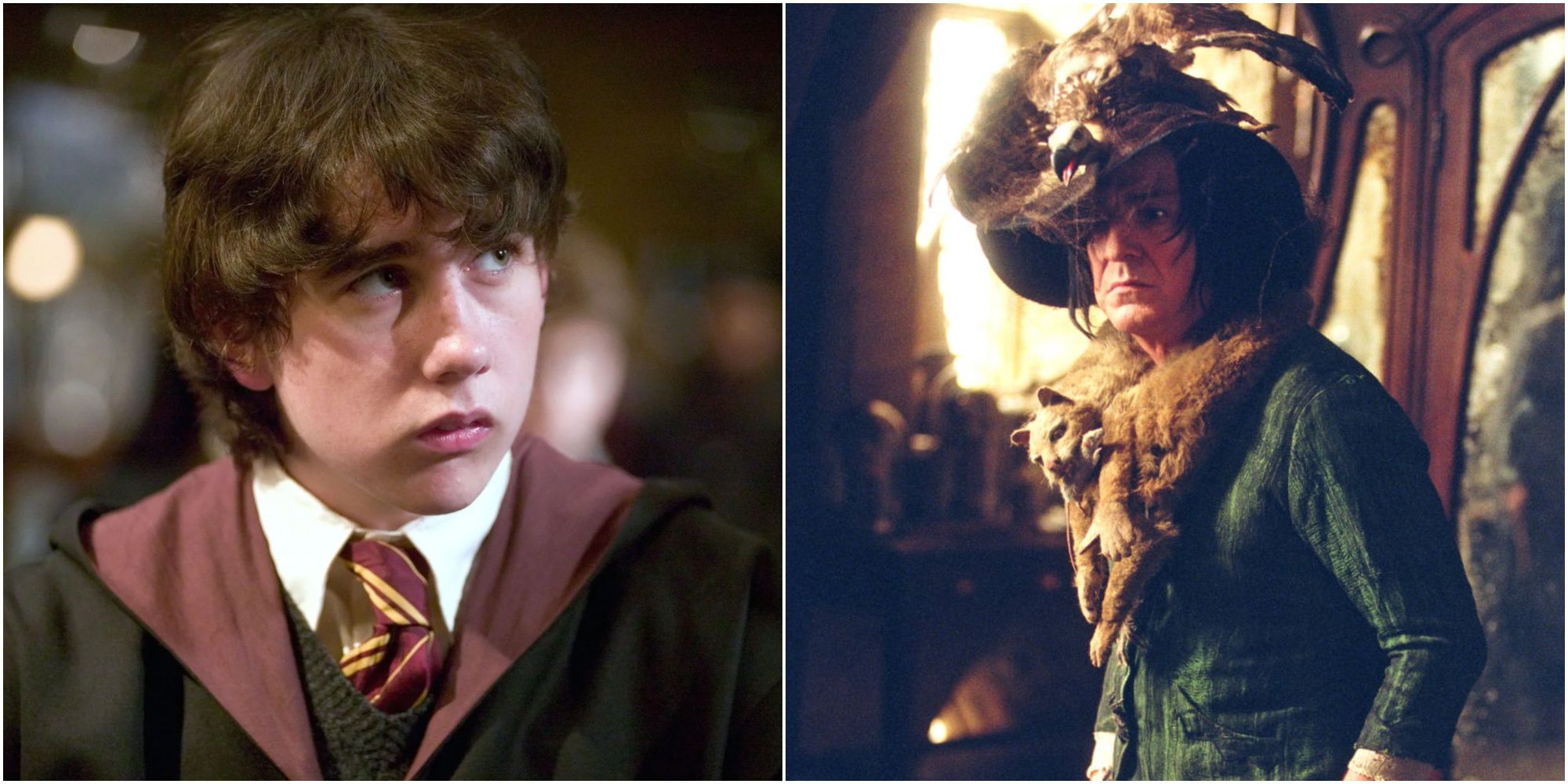 The Shocking Truth Behind Snape's Cruelty Towards Neville in Harry Potter