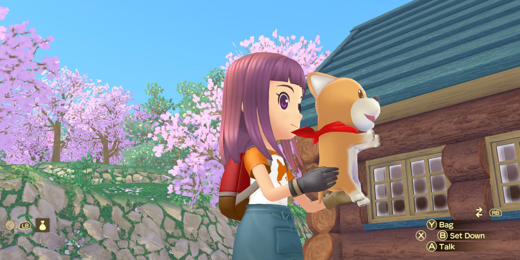 Unveiling the Secrets: Story of Seasons: A Wonderful Life - Must You Feed the Faithful Dog?
