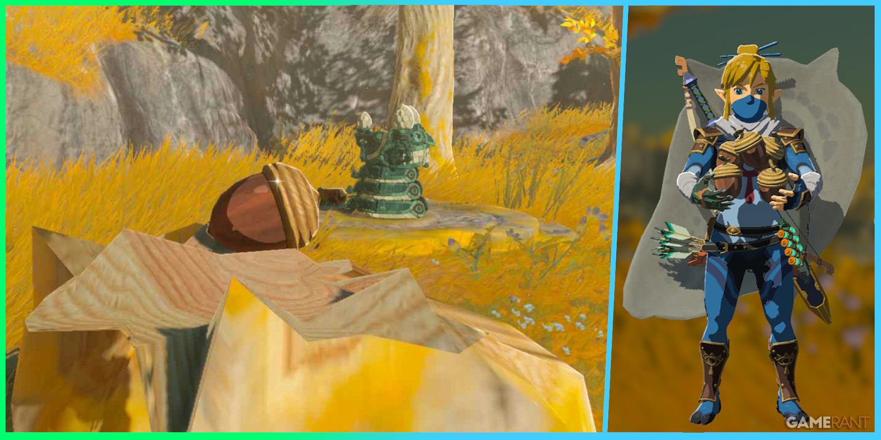 The Ultimate Guide to Acorn Farming in Zelda: Tears of the Kingdom