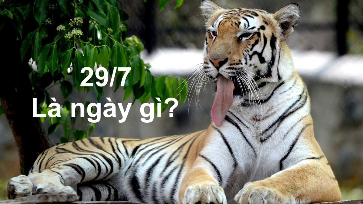29/7 - Những sự kiện đặc biệt không thể bỏ qua trong ngày này