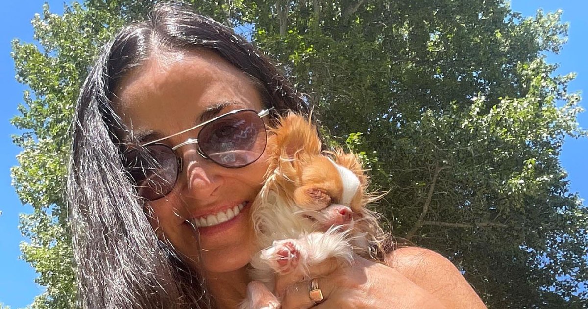 Demi Moore Sets the Internet Ablaze in an Unforgettable Bikini Moment While Basking Under the Sun on July 4th