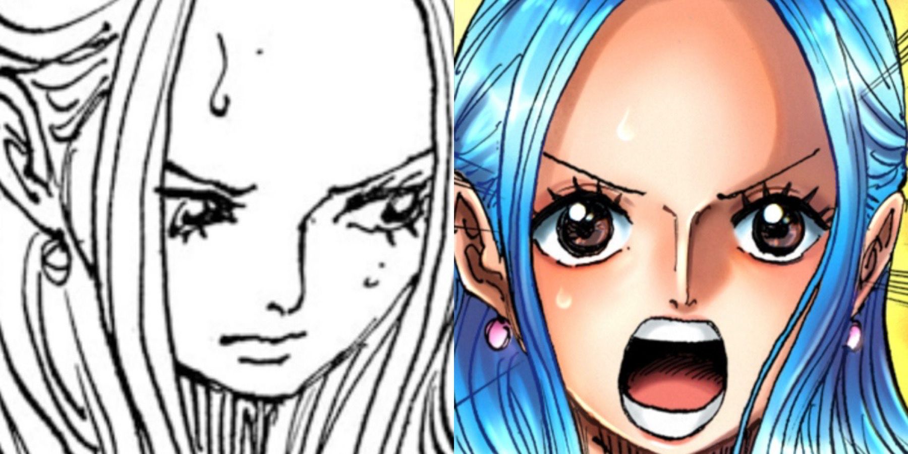 Unleashing the Feminine Power A Deeper Look into One Piece's Strong