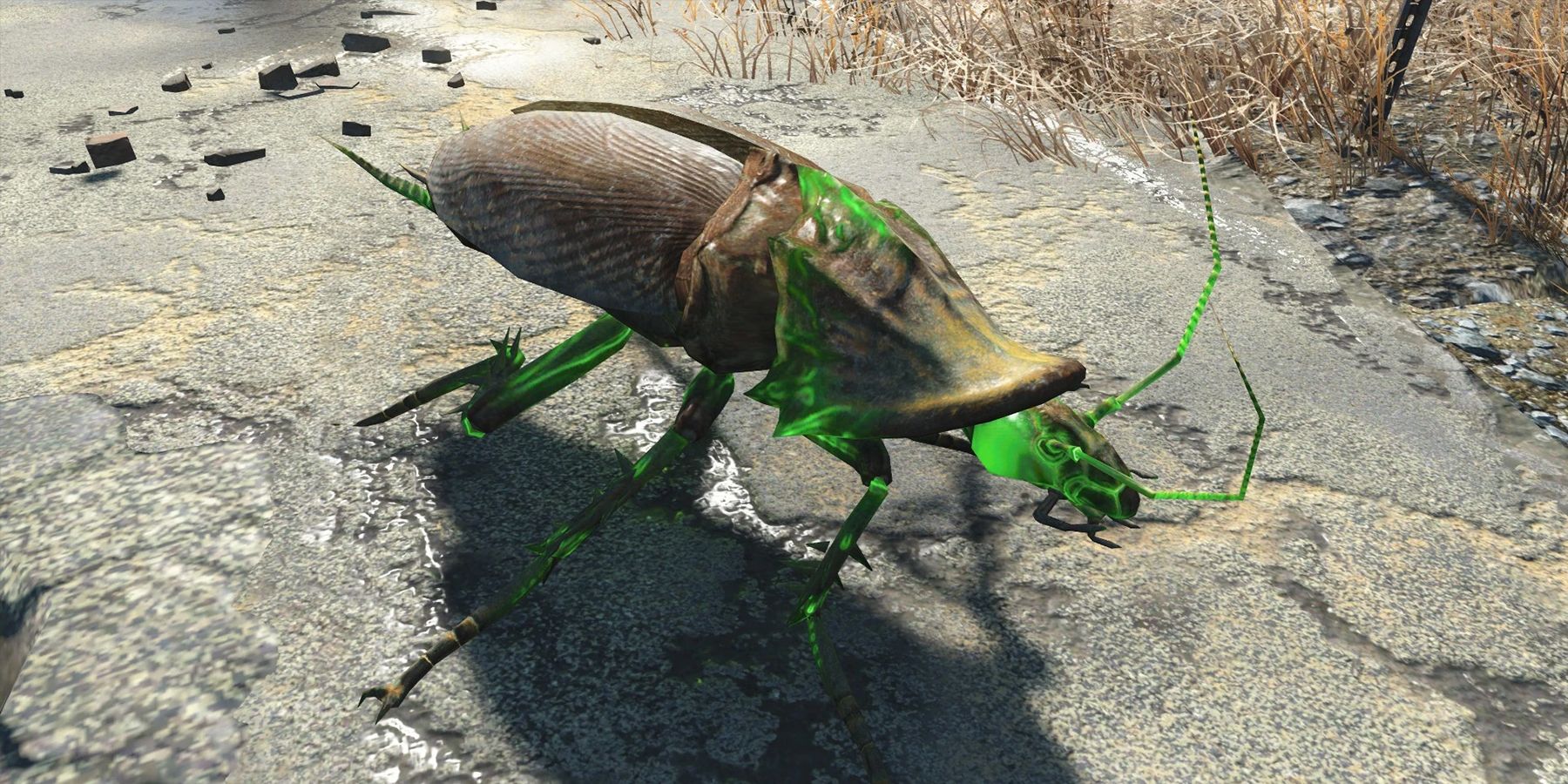 Unbelievable Fallout 4 Player Achieves Jaw-Dropping Radroach Takedown