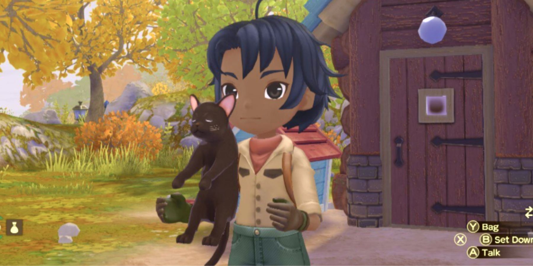 The Purrfect Guide: Unveiling the Secrets to Welcoming a Feline Friend in Story of Seasons: A Wonderful Life