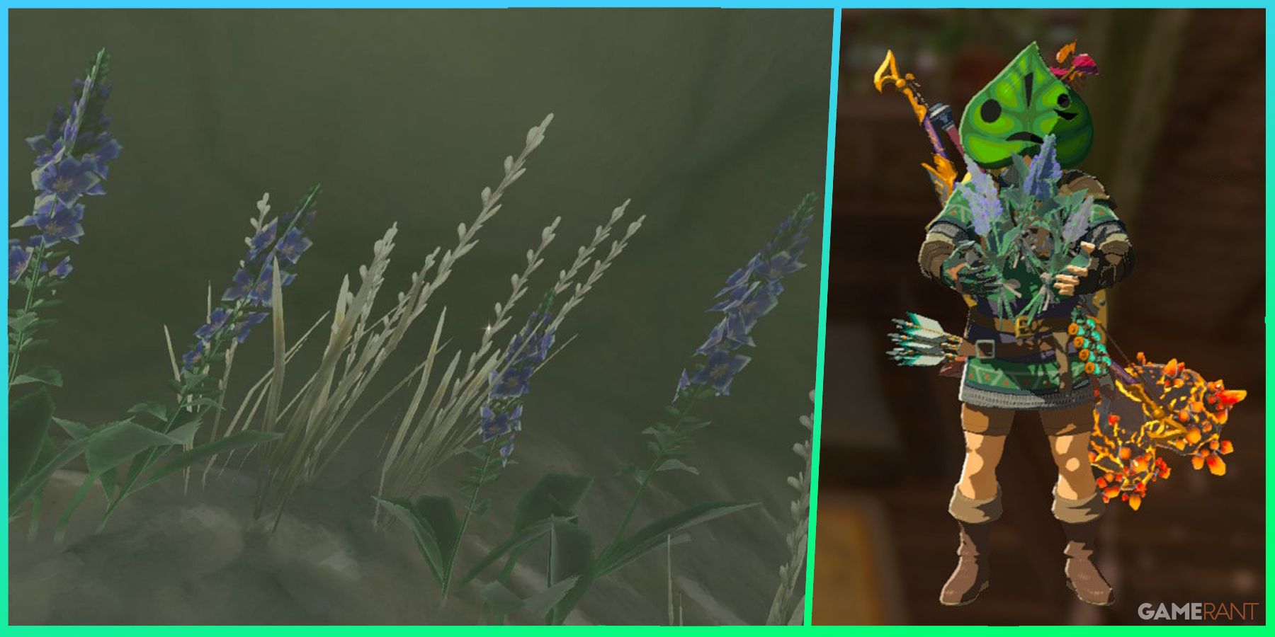 Ultimate Guide: Mastering Zelda: Tears of the Kingdom - Top Locations for Farming Rare Safflina