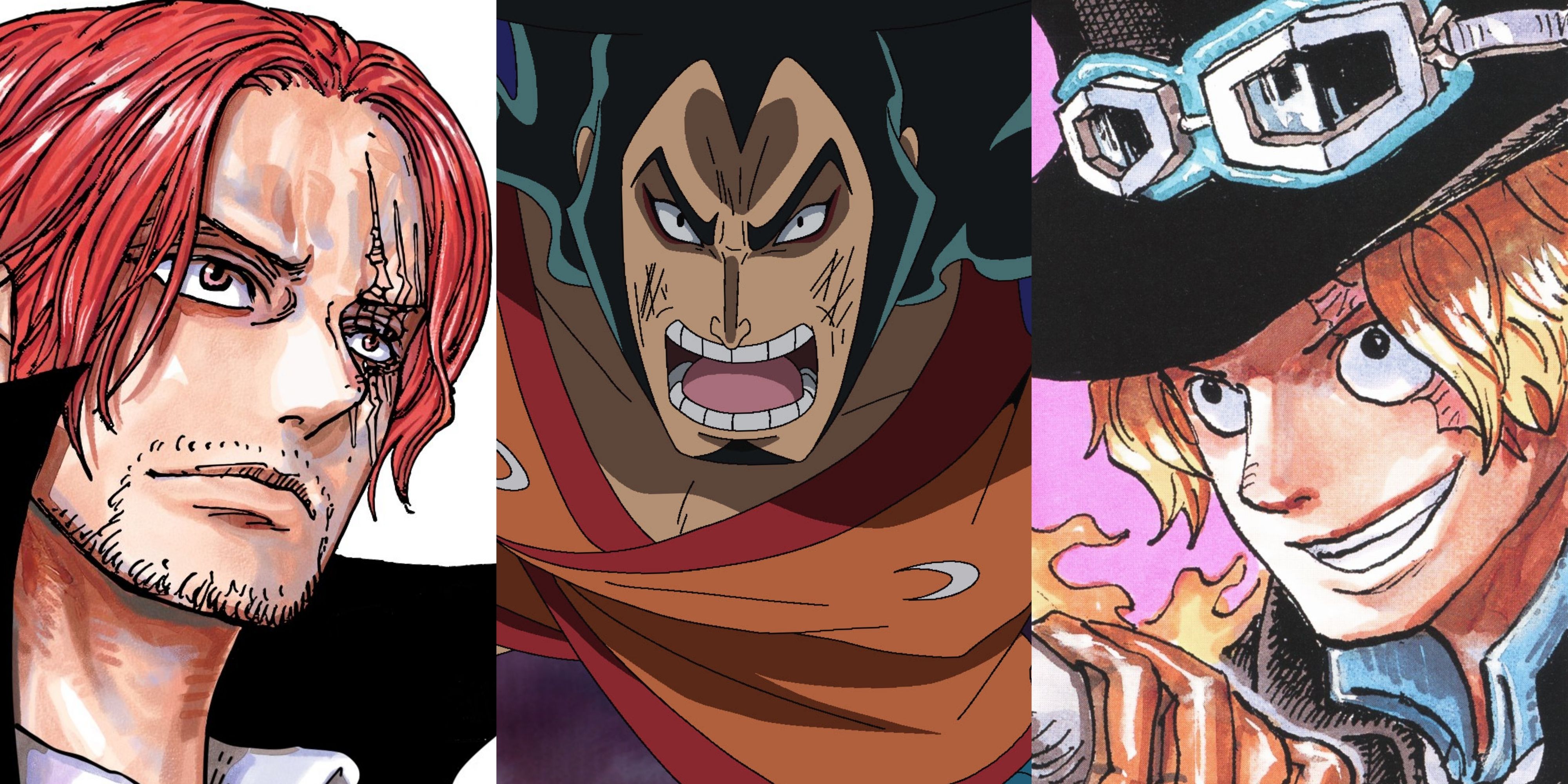 One Piece Unveiling the Secrets of the Elusive D Family 6 Characters