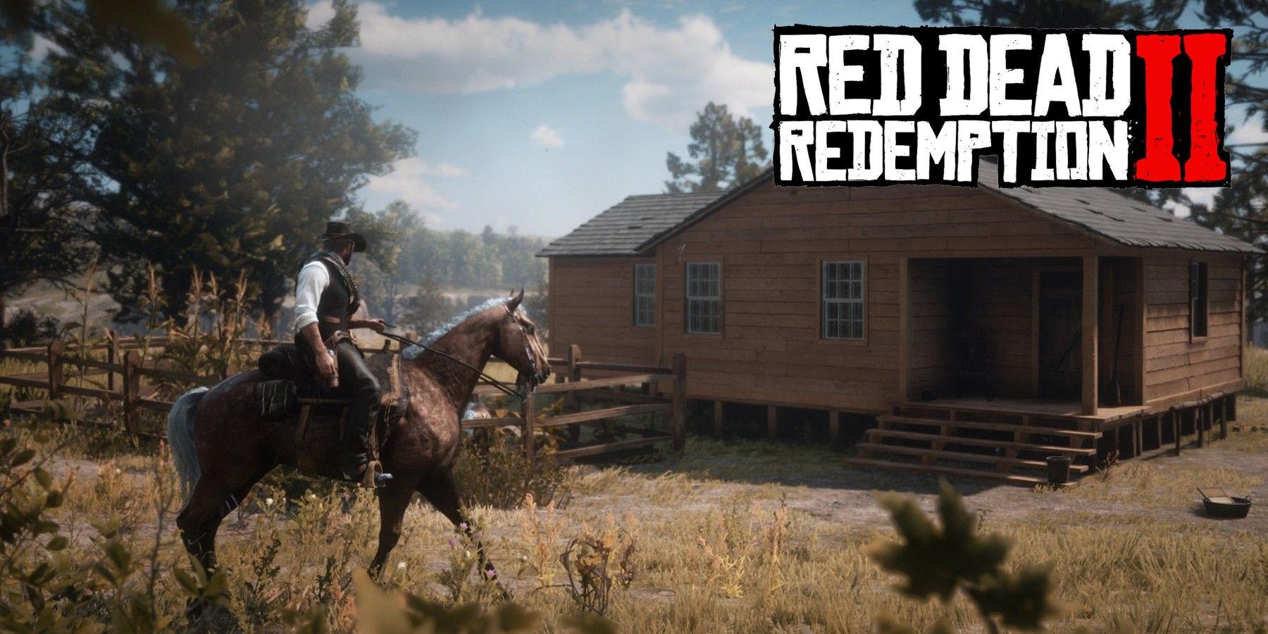 Unmissable Red Dead Redemption 2 Clip: Why You Can't Take Your Eyes off the  Screen!