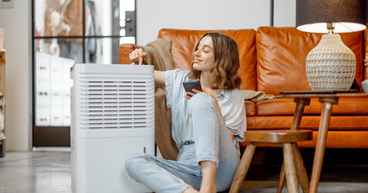 Unbeatable Prime Day Offer: Snag the Ultimate Air Purifier Steal Now